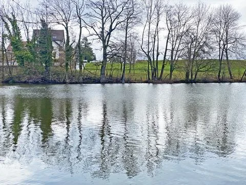 Late winter and early spring on the Sternenweiher pond or Sternensee lake Stock Photos