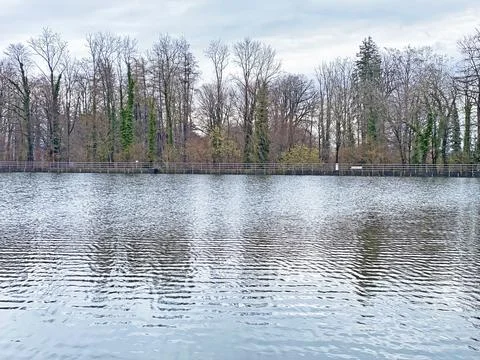 Late winter and early spring on the Sternenweiher pond or Sternensee lake Foto stock