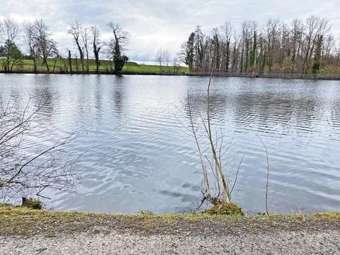 Late winter and early spring on the Sternenweiher pond or Sternensee lake Stock Photos