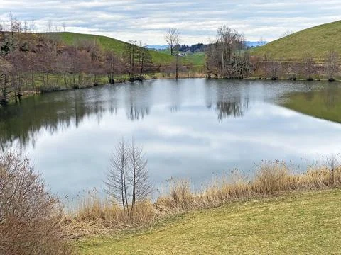 Late winter and early spring on the small natural lake Wilersee or Wiler lake 스톡 사진