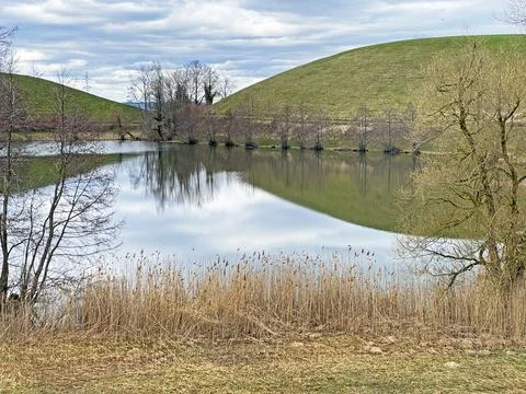 Late winter and early spring on the small natural lake Wilersee or Wiler lake Stock Photos
