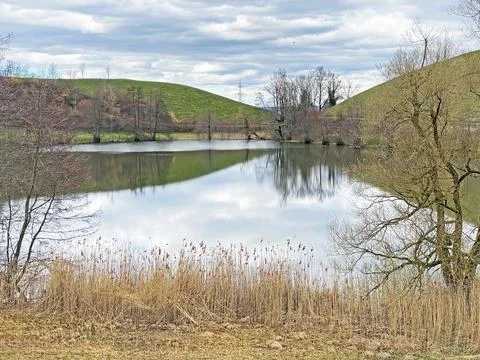 Late winter and early spring on the small natural lake Wilersee or Wiler lake Stock Photos