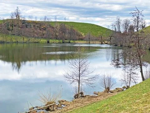 Late winter and early spring on the small natural lake Wilersee or Wiler lake Foto stock