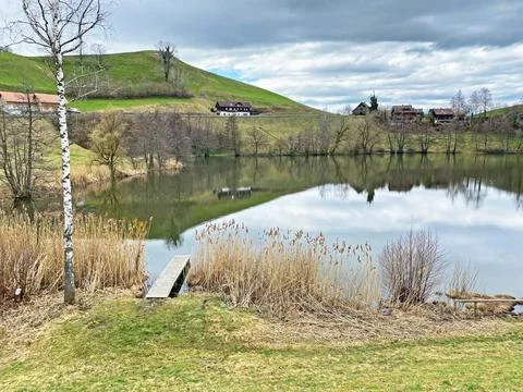 Late winter and early spring on the small natural lake Wilersee or Wiler lake 스톡 사진