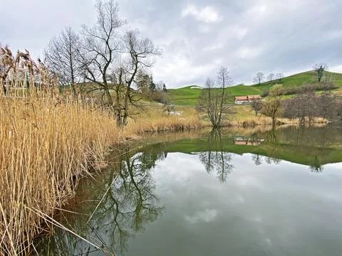 Late winter and early spring on the small natural lake Wilersee or Wiler lake Stock Photos