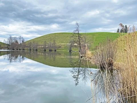 Late winter and early spring on the small natural lake Wilersee or Wiler lake Stockfoto's