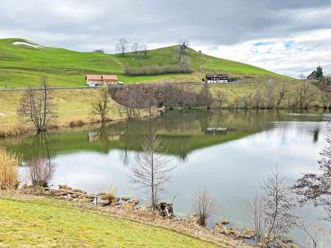 Late winter and early spring on the small natural lake Wilersee or Wiler lake Stock Photos