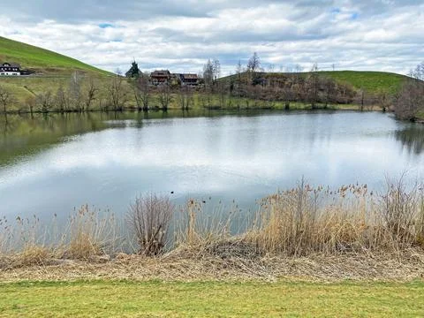 Late winter and early spring on the small natural lake Wilersee or Wiler lake Foto stock