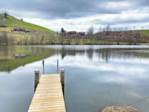 Late winter and early spring on the small natural lake Wilersee or Wiler lake Foto stock