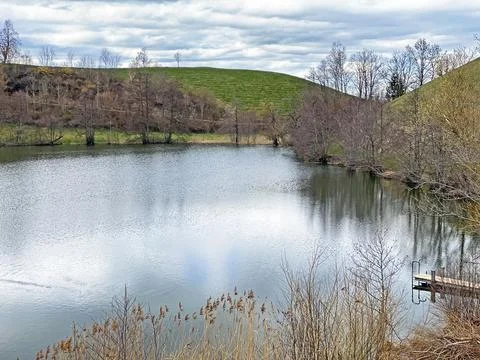 Late winter and early spring on the small natural lake Wilersee or Wiler lake Stockfoto's