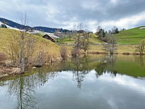 Late winter and early spring on the small natural lake Wilersee or Wiler lake Foto stock