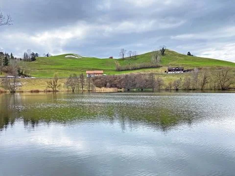 Late winter and early spring on the small natural lake Wilersee or Wiler lake Stock Photos