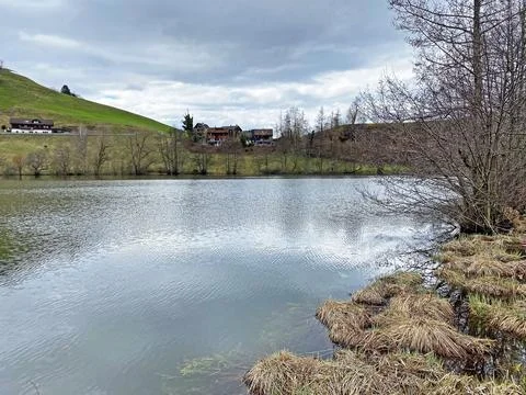 Late winter and early spring on the small natural lake Wilersee or Wiler lake Foto stock