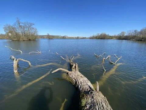 Late winter and early spring on the lake Mauensee or Lake Mauen (Mauesee) Foto stock