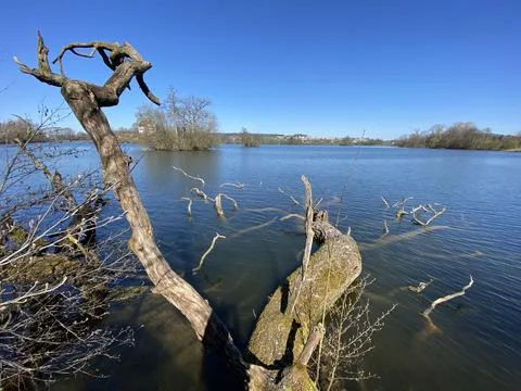 Late winter and early spring on the lake Mauensee or Lake Mauen (Mauesee) Stockfoto's