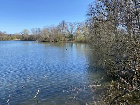 Late winter and early spring on the lake Mauensee or Lake Mauen (Mauesee) 写真素材