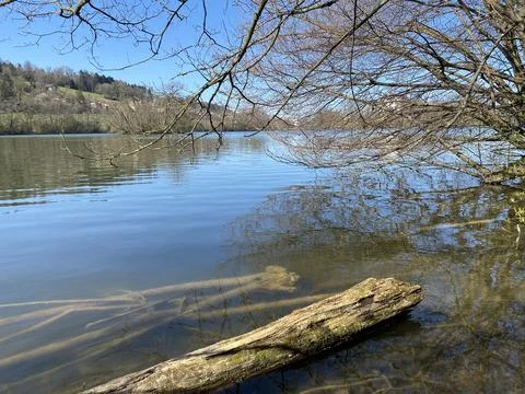 Late winter and early spring on the lake Mauensee or Lake Mauen (Mauesee) 写真素材