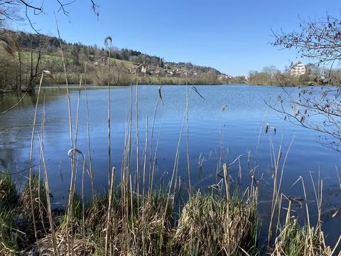 Late winter and early spring on the lake Mauensee or Lake Mauen (Mauesee) 写真素材