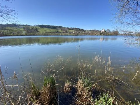 Late winter and early spring on the lake Mauensee or Lake Mauen (Mauesee) Stock Photos