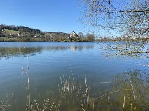 Late winter and early spring on the lake Mauensee or Lake Mauen (Mauesee) Stockfoto's