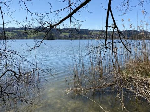 Late winter and early spring on the lake Mauensee or Lake Mauen (Mauesee) 写真素材
