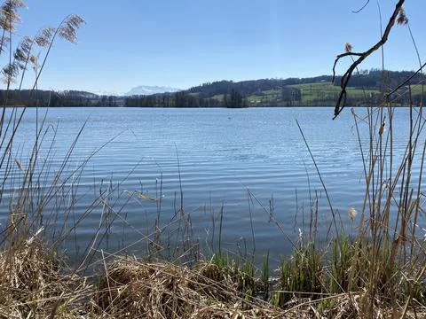 Late winter and early spring on the lake Mauensee or Lake Mauen (Mauesee) 写真素材