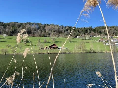 Late winter and early spring on the beautiful small lake Egolzwilersee 스톡 사진