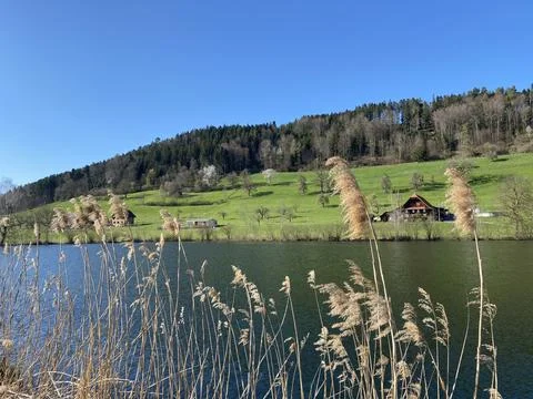 Late winter and early spring on the beautiful small lake Egolzwilersee Stockfoto's