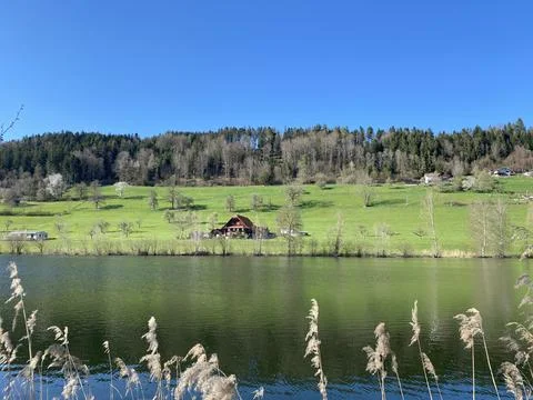 Late winter and early spring on the beautiful small lake Egolzwilersee Stock Photos