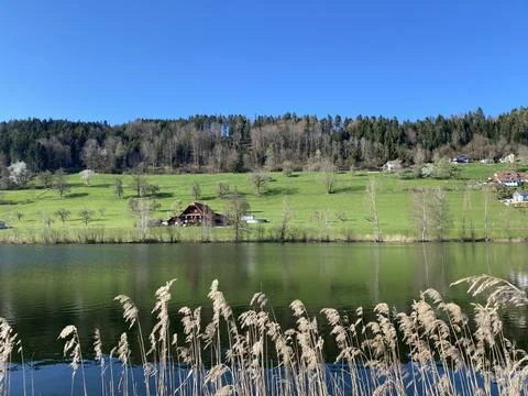 Late winter and early spring on the beautiful small lake Egolzwilersee 写真素材