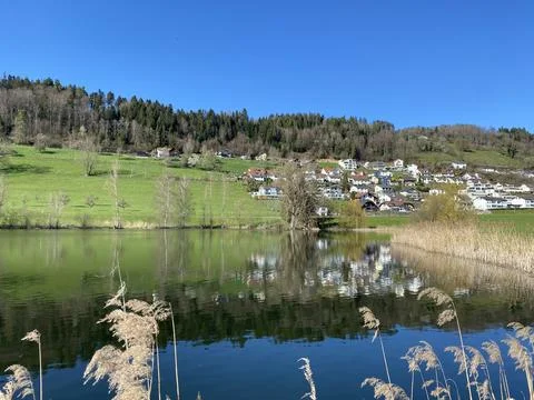 Late winter and early spring on the beautiful small lake Egolzwilersee Stock Photos