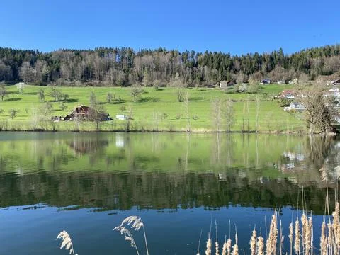 Late winter and early spring on the beautiful small lake Egolzwilersee Stock Photos