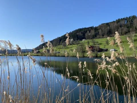 Late winter and early spring on the beautiful small lake Egolzwilersee Stock Photos