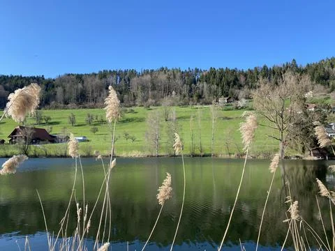 Late winter and early spring on the beautiful small lake Egolzwilersee Stock Photos