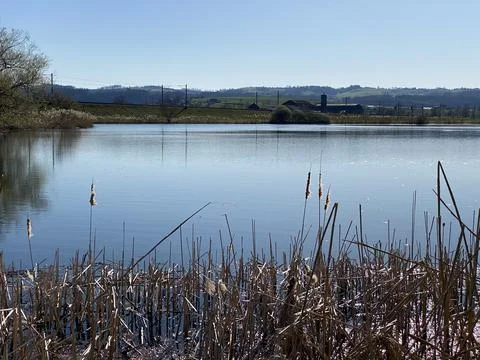 Late winter and early spring on the beautiful small lake Egolzwilersee Foto stock