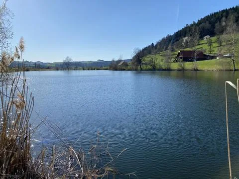 Late winter and early spring on the beautiful small lake Egolzwilersee Stock Photos