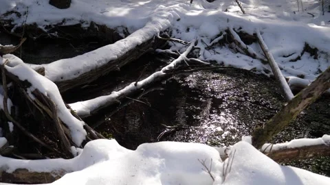 Late winter river Stock Footage 152669054