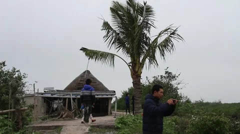 A late winter tree shaded standing in front, and the winds Stock Footage 47456287