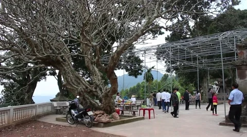 A late winter tree shaded standing in front, and the winds Stock Footage 47456873