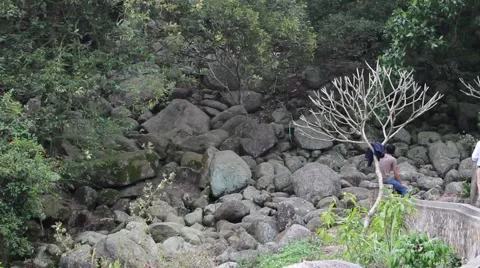 A late winter tree shaded standing in front, and the winds Stock Footage 47457121