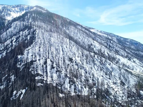 Late winter valley Stockbeeldmateriaal 78107881