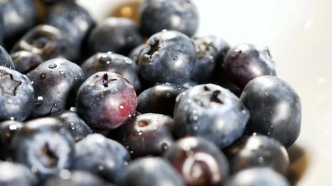 Latera blueberries background1 Stock Footage 107214171
