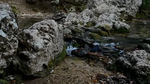 Lateral close up view  of a small mountain stream Stock Footage 130665897