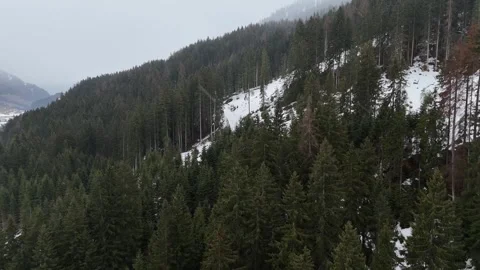 Lateral Drone Flight Above Snow-Covered Pine Forest in Foggy Overcast We Stock Footage 335934982