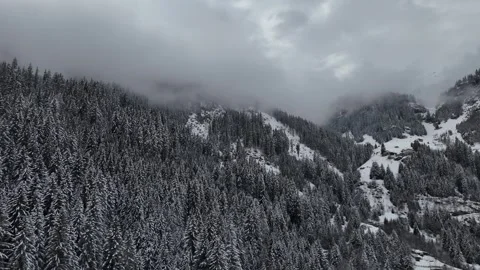 Lateral Drone Flight Across Snow-Covered Pine Forest in South Tyrol, Ita Vídeo Stock 336707042