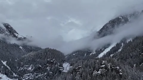 Lateral Drone Flight Across Snowy Forest and Foggy Mountains in South Ty Vídeo Stock 336476107