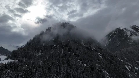 Lateral Drone Flight Across Snowy Forest and Foggy Mountains in South Ty 库存影片 336476114