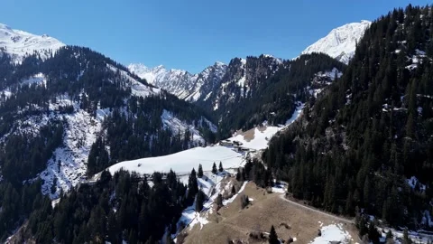 Lateral Drone Flight Along Forested Slopes with Mountain Backdrop in Val Vídeo Stock 336887307