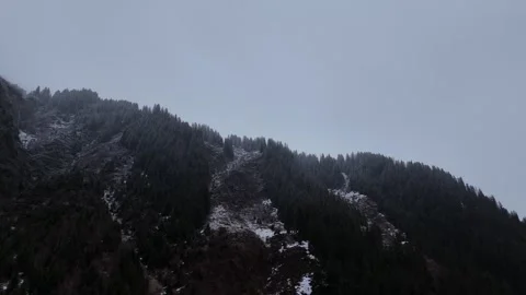Lateral Drone Flight Over Distant Pine Forest Under Gray Overcast Sky, S Vídeo Stock 336230729