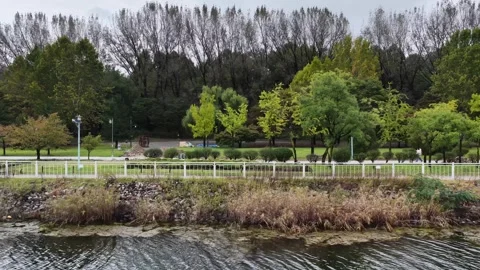 Lateral Drone Flight Over Riverside Park with Autumn Trees Stock Footage 319838532